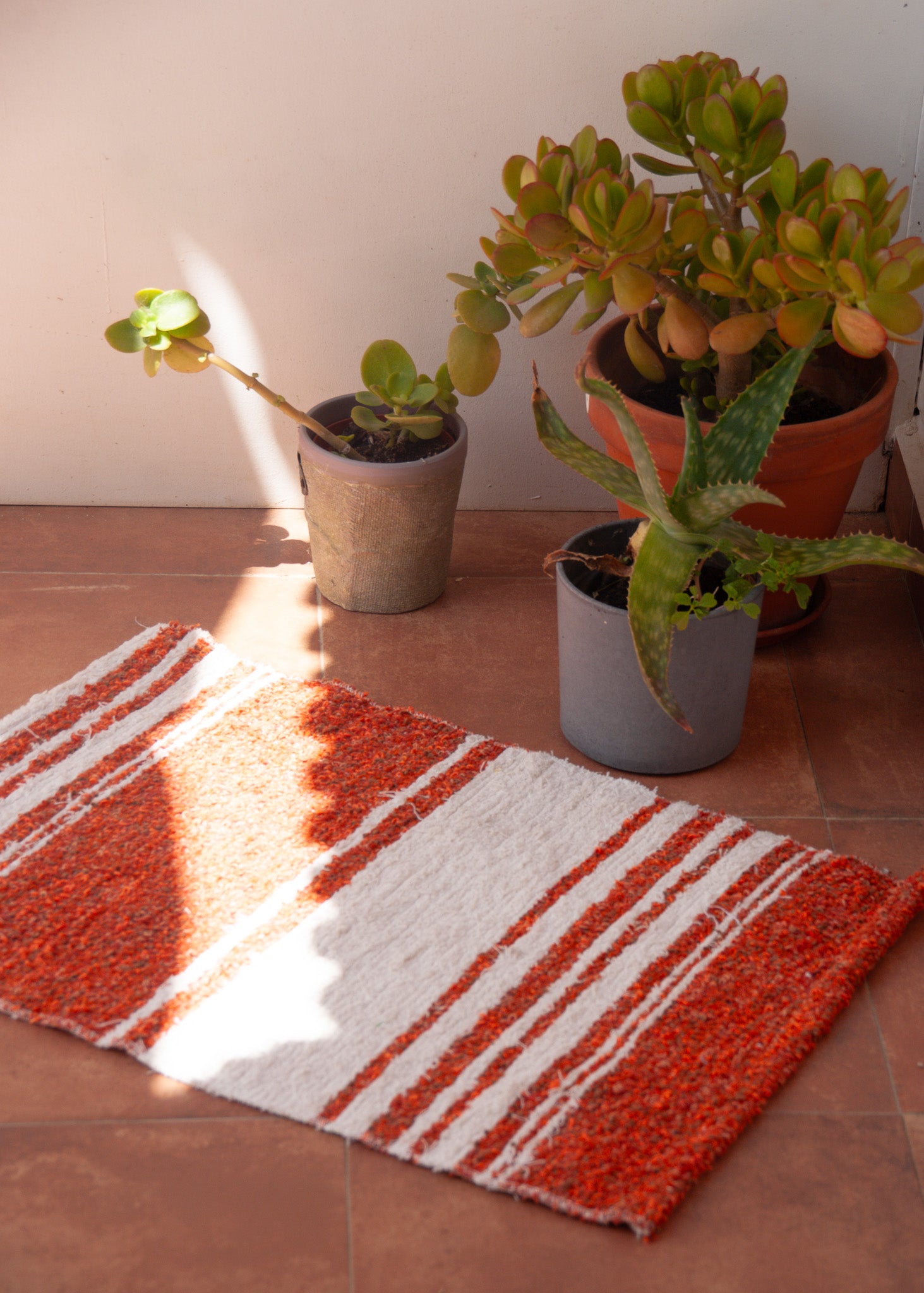 Terracota & White | 40 x 60