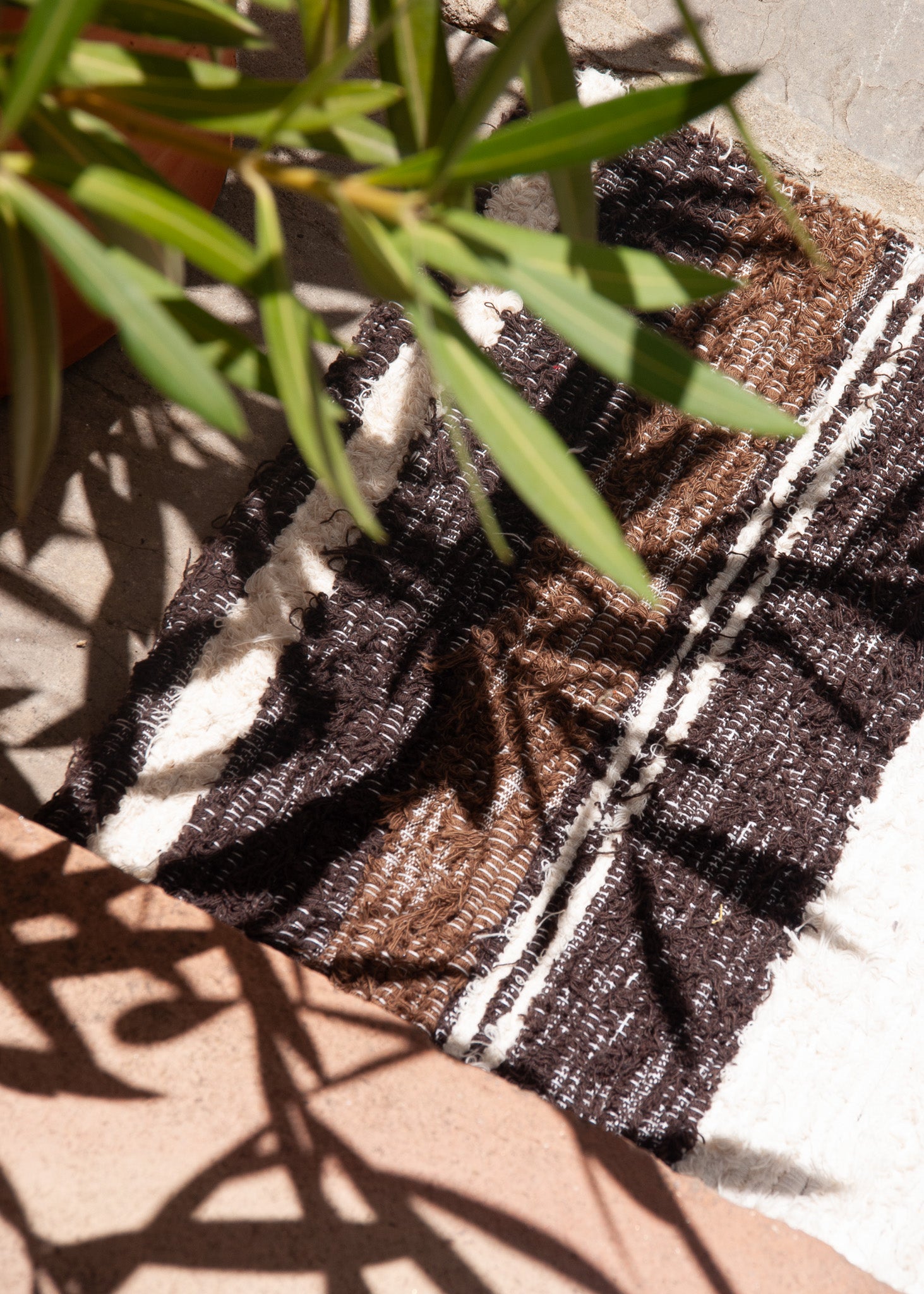 Brown & White | 40 x 60