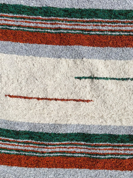 Playa Chica | Multicolor  | 170 x 240