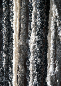 Curtain | Multicolor